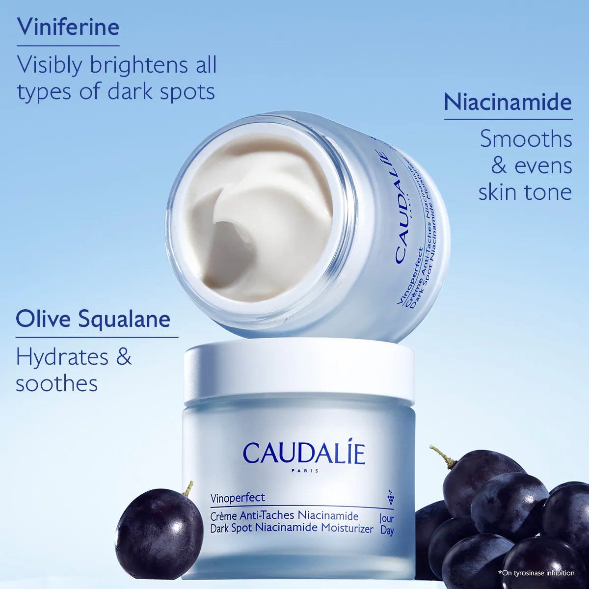 Vinoperfect Dark Spot Brightening Refillable Moisturizer with Niacinamide (Crema Hidratante)