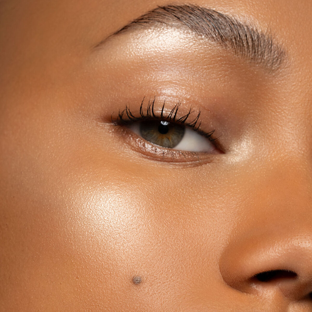 Prisme Libre Highlighter (Iluminador en Polvo Suelto)