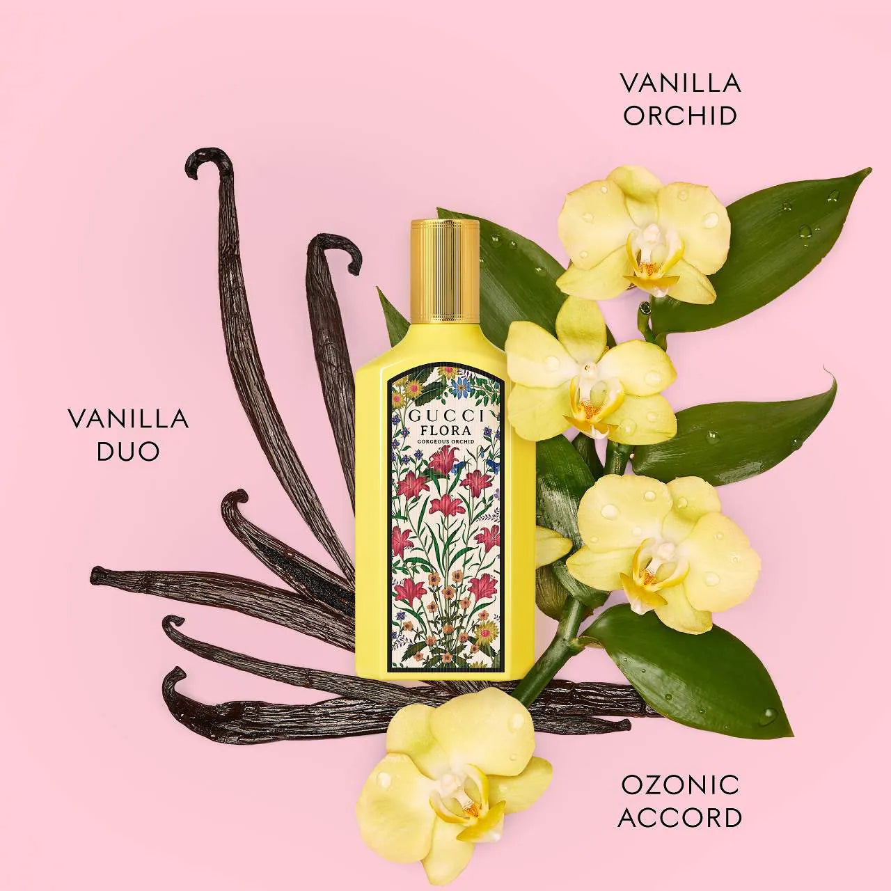 Women's Mini Perfume Coffret (Kit o Set)