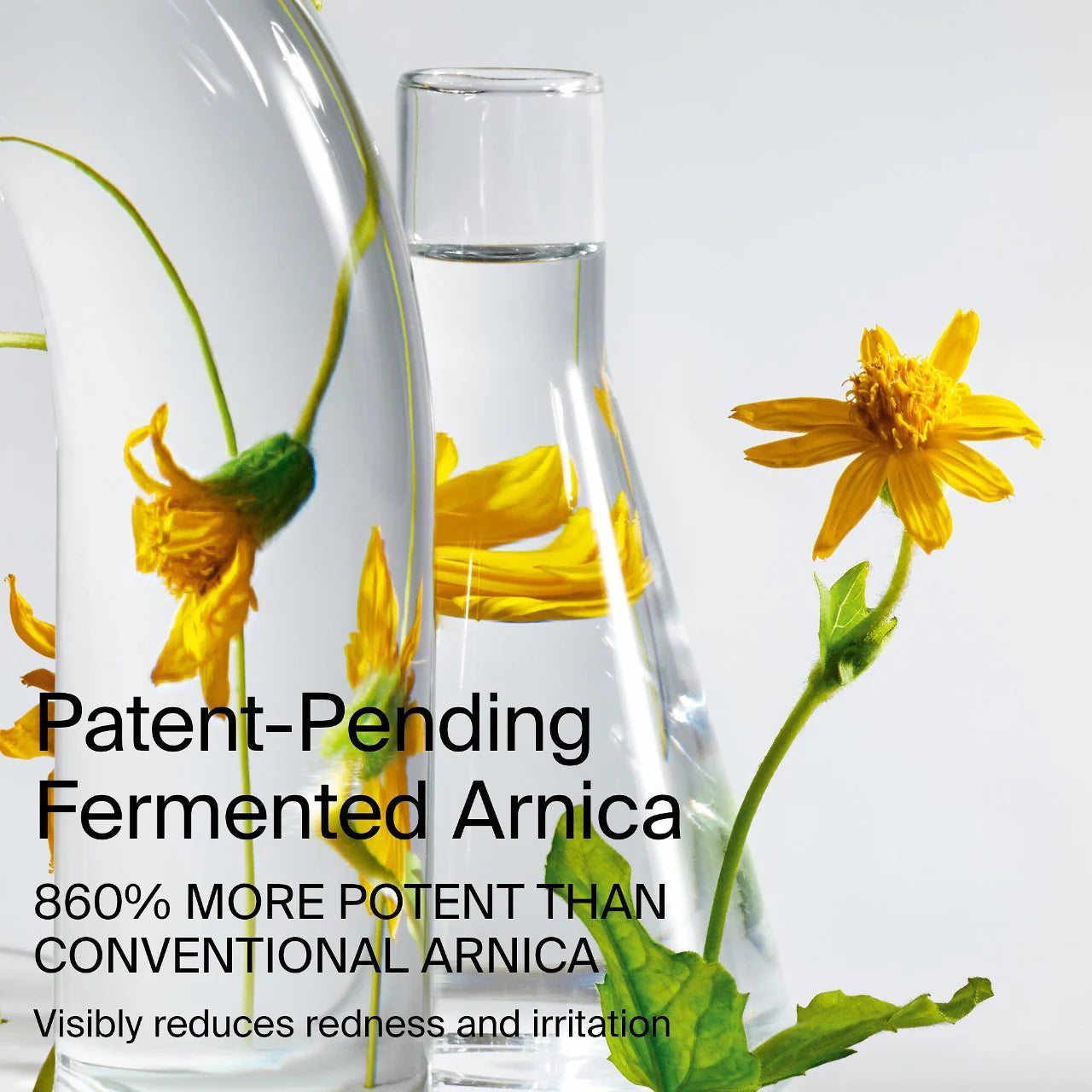 Bio-Blurring Talc-Free Loose Setting Powder (Polvo Suelto)