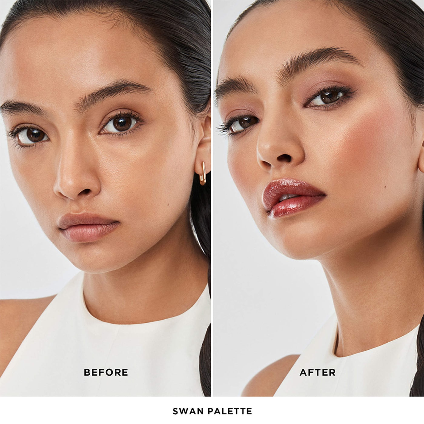 Ambient Lighting Edit Unlocked Palette Swan (Paleta Para Rostro)