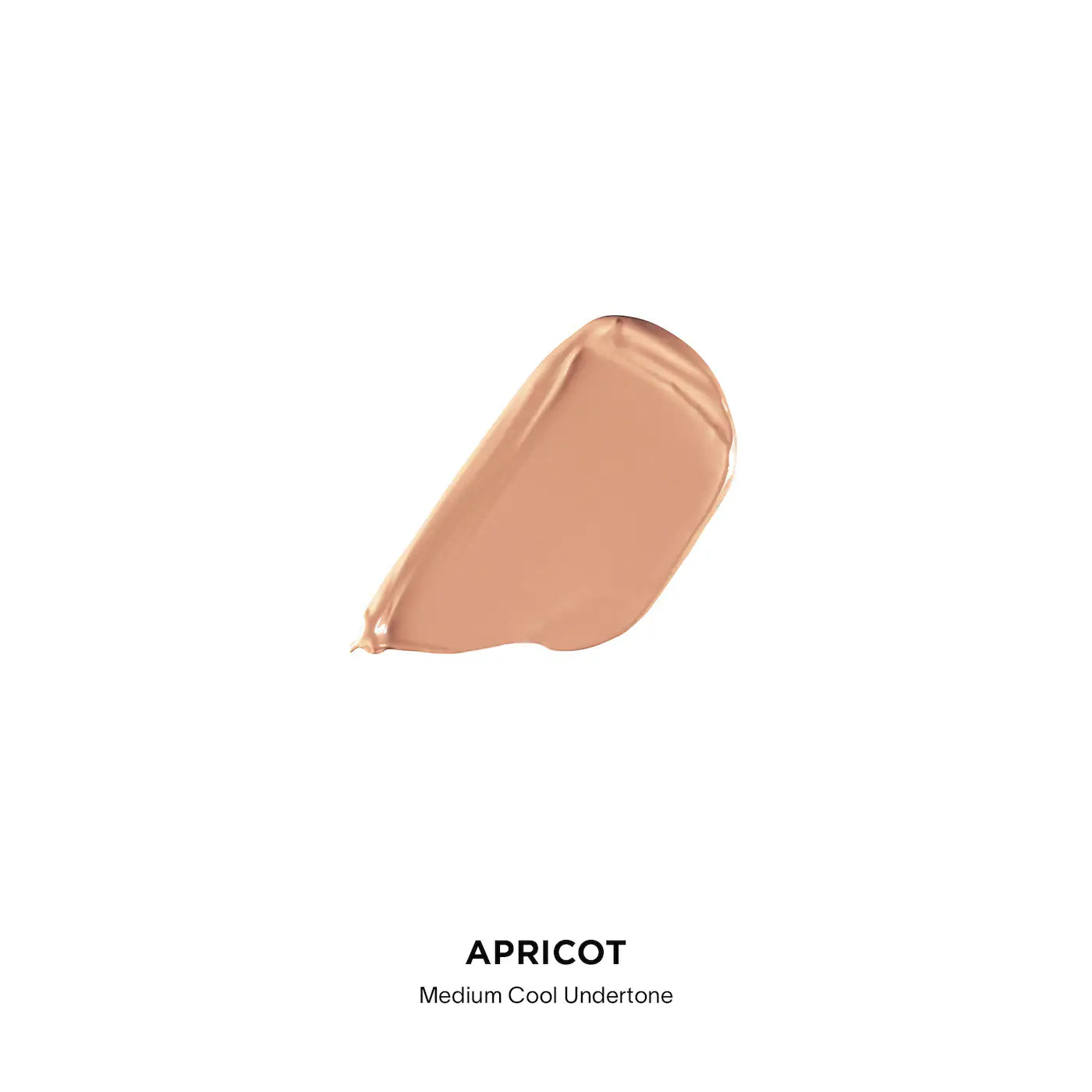 Vanish Airbrush Concealer (Corrector Liquido)