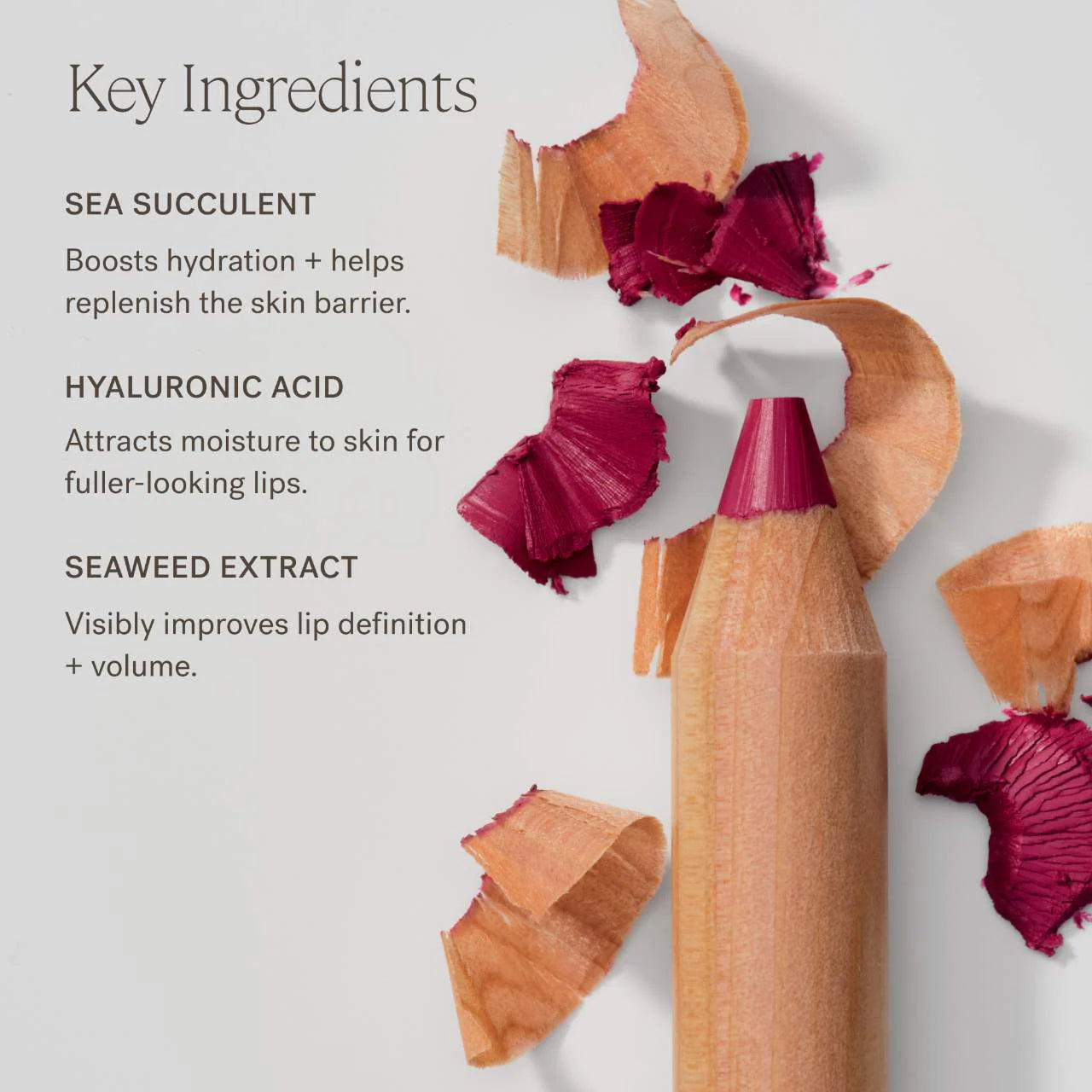 Lip Sketch Hydrating Lipstick + Lip Liner Crayon (Delineador de Labios)