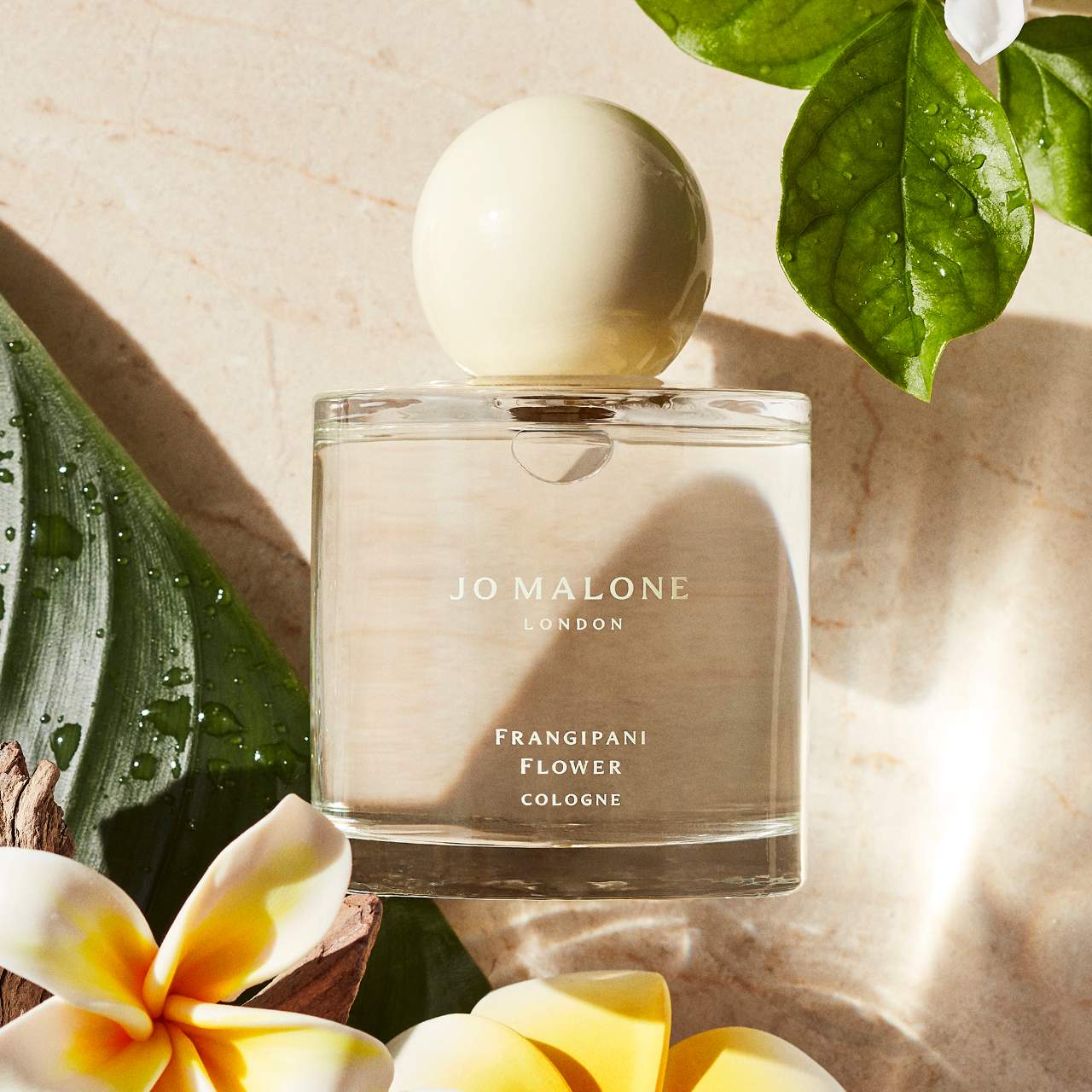 Frangipani Flower Cologne (Perfume)