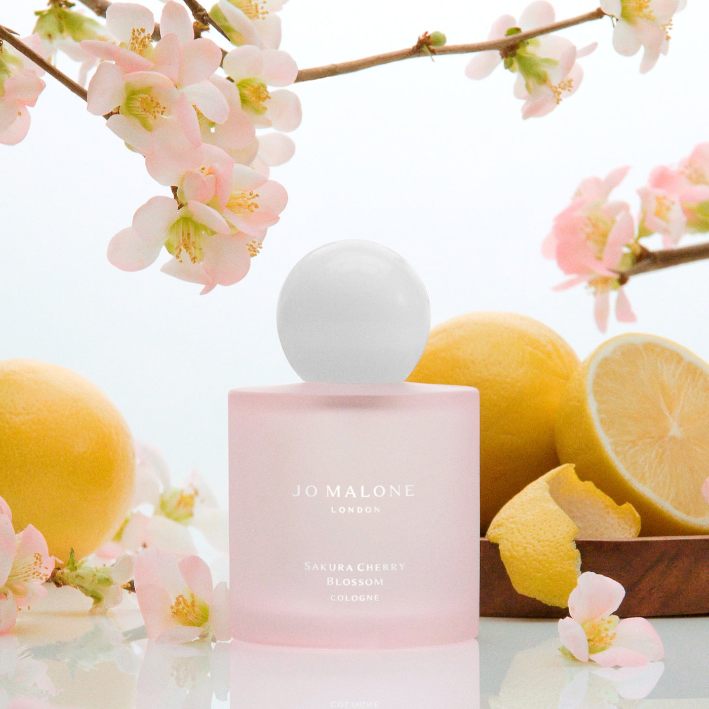 Sakura Cherry Blossom (Perfume)