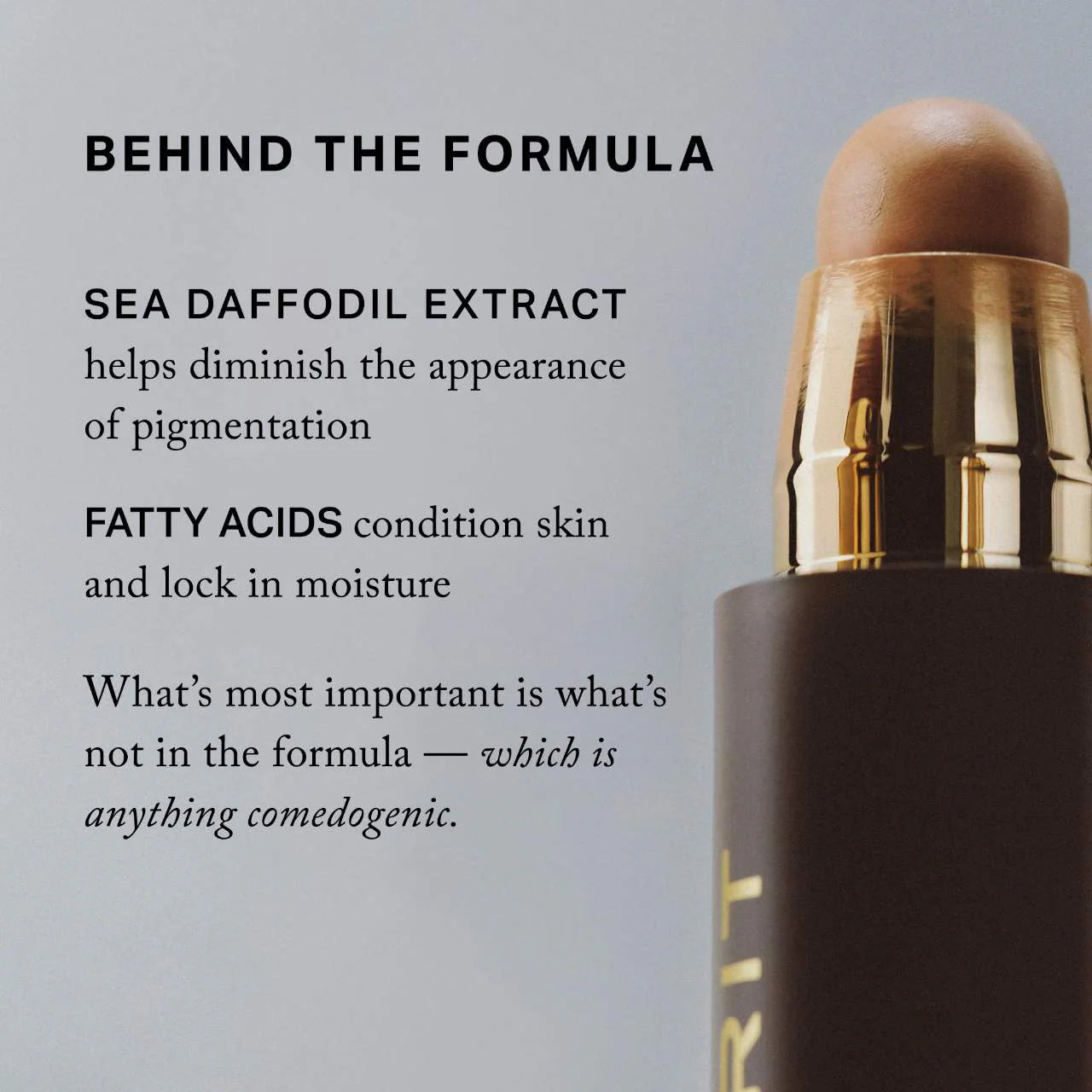 The Minimalist Perfecting Complexion Foundation and Concealer Stick (Corrector y Base En Barra)