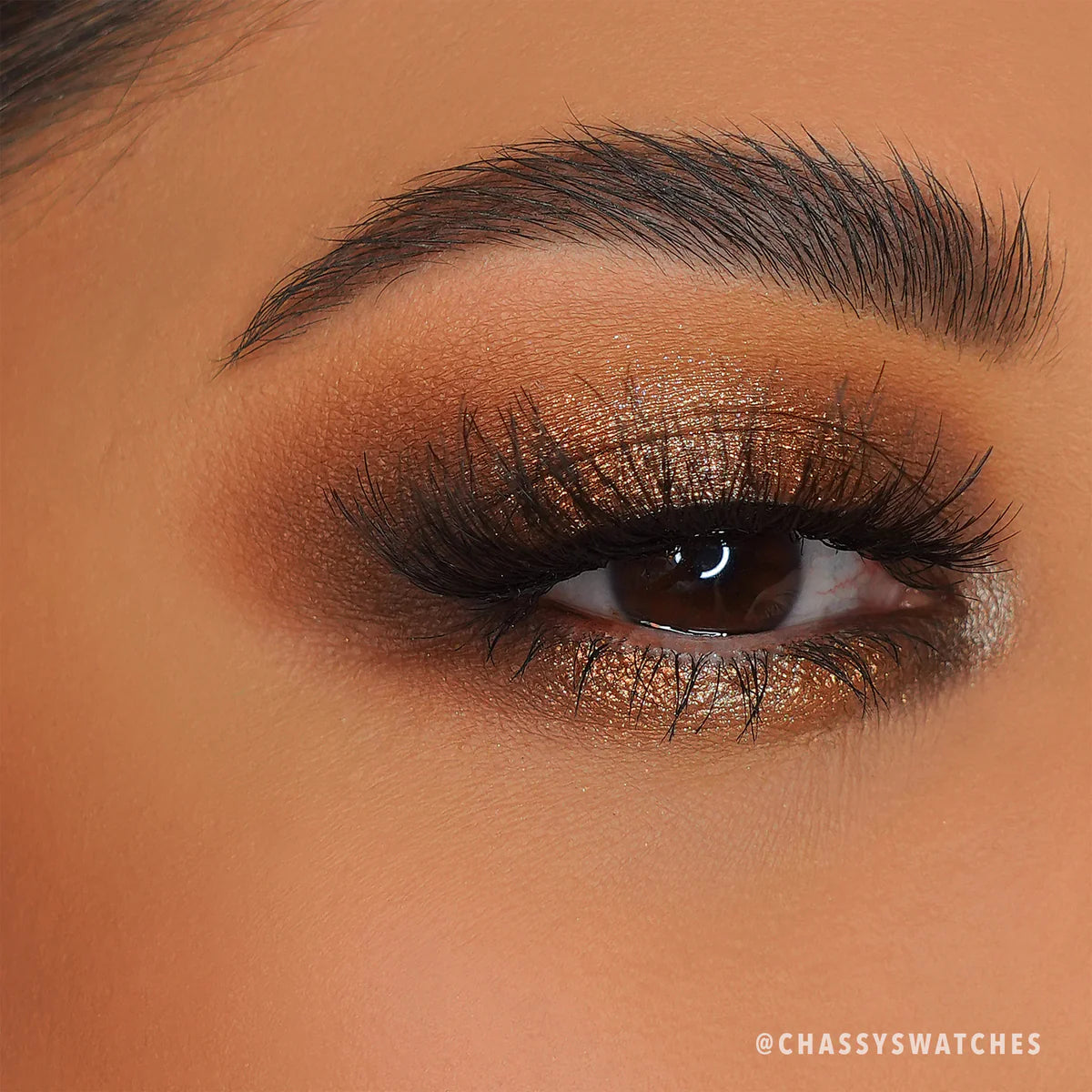 Chasing Eternity Palette (Paleta de Sombras de Ojos)