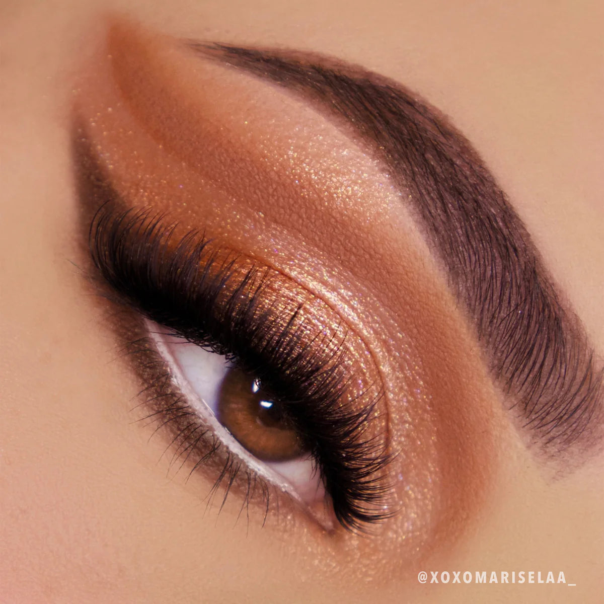 Chasing Eternity Palette (Paleta de Sombras de Ojos)