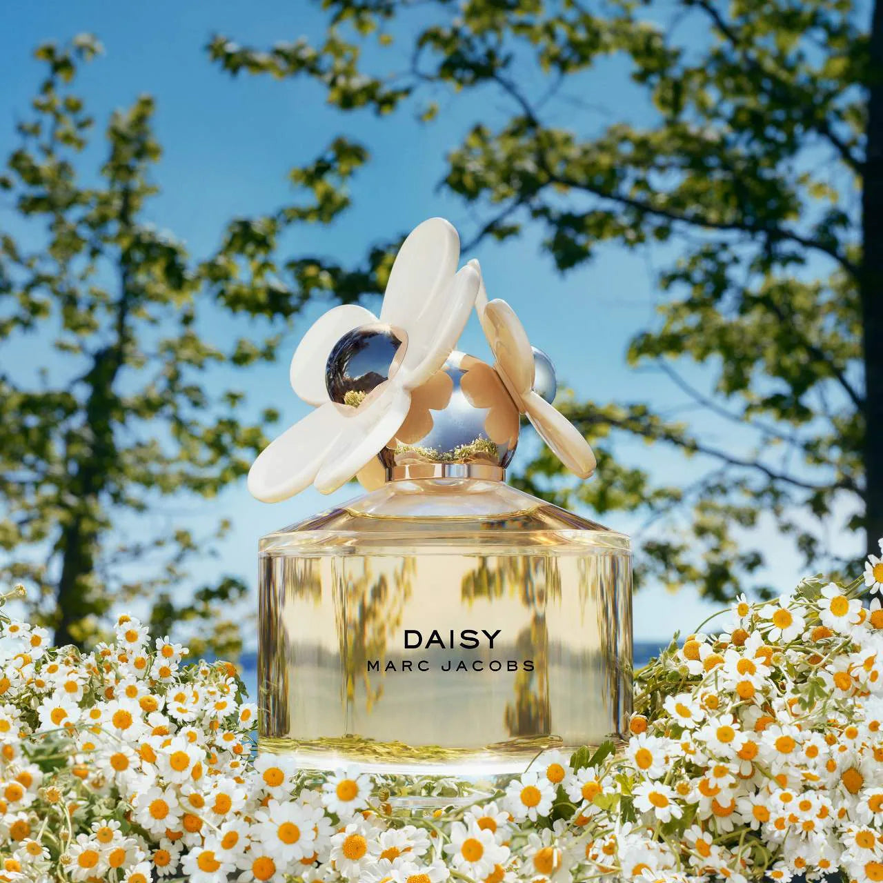 Daisy Eau de Toilette Gift Set (Kit De Perfume)