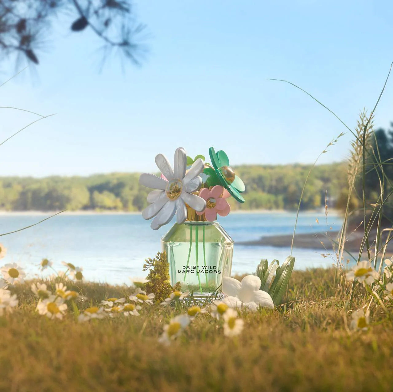 Daisy Wild Eau de Parfum (Perfume)