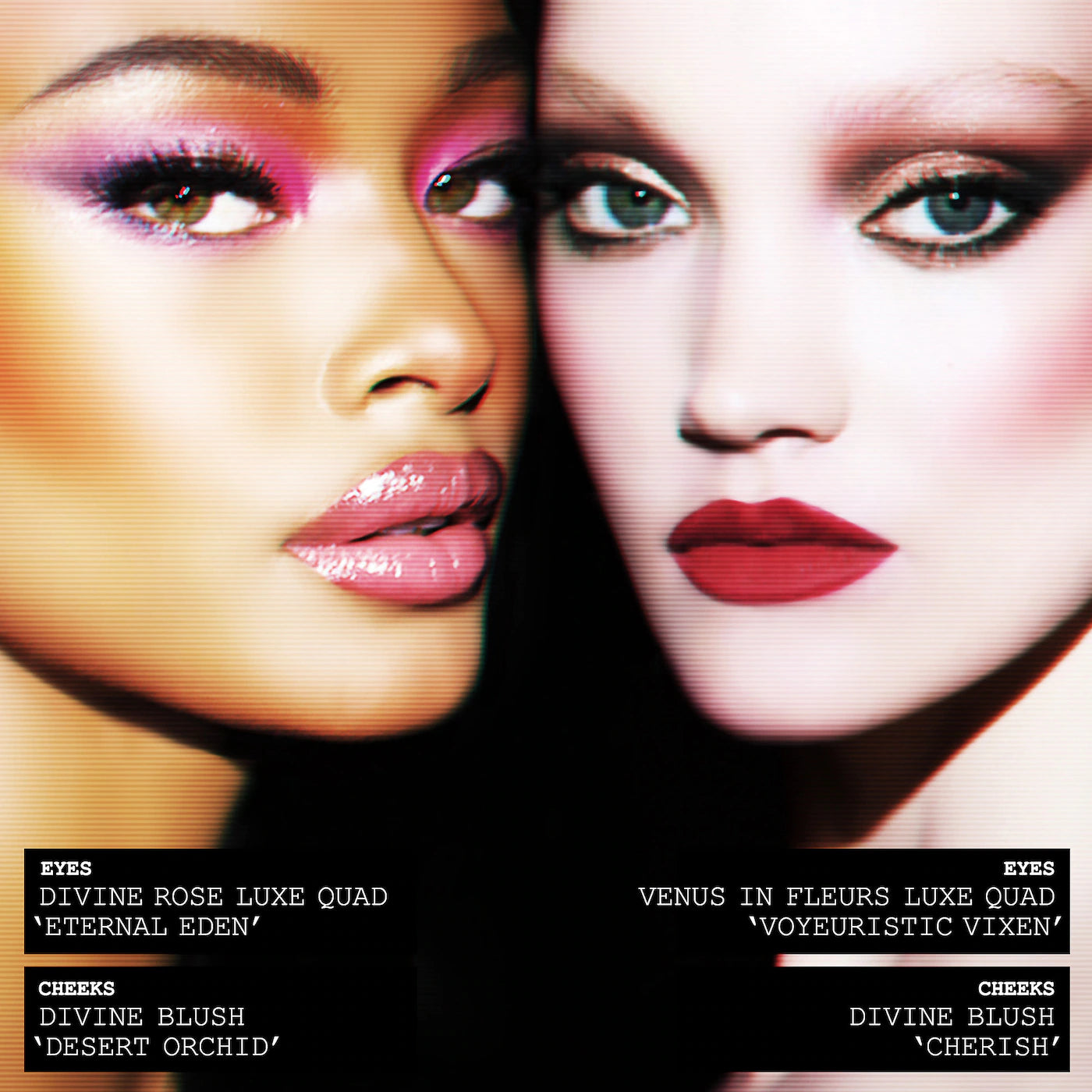 Skin Fetish: Divine Powder Blush (Rubor en Polvo)