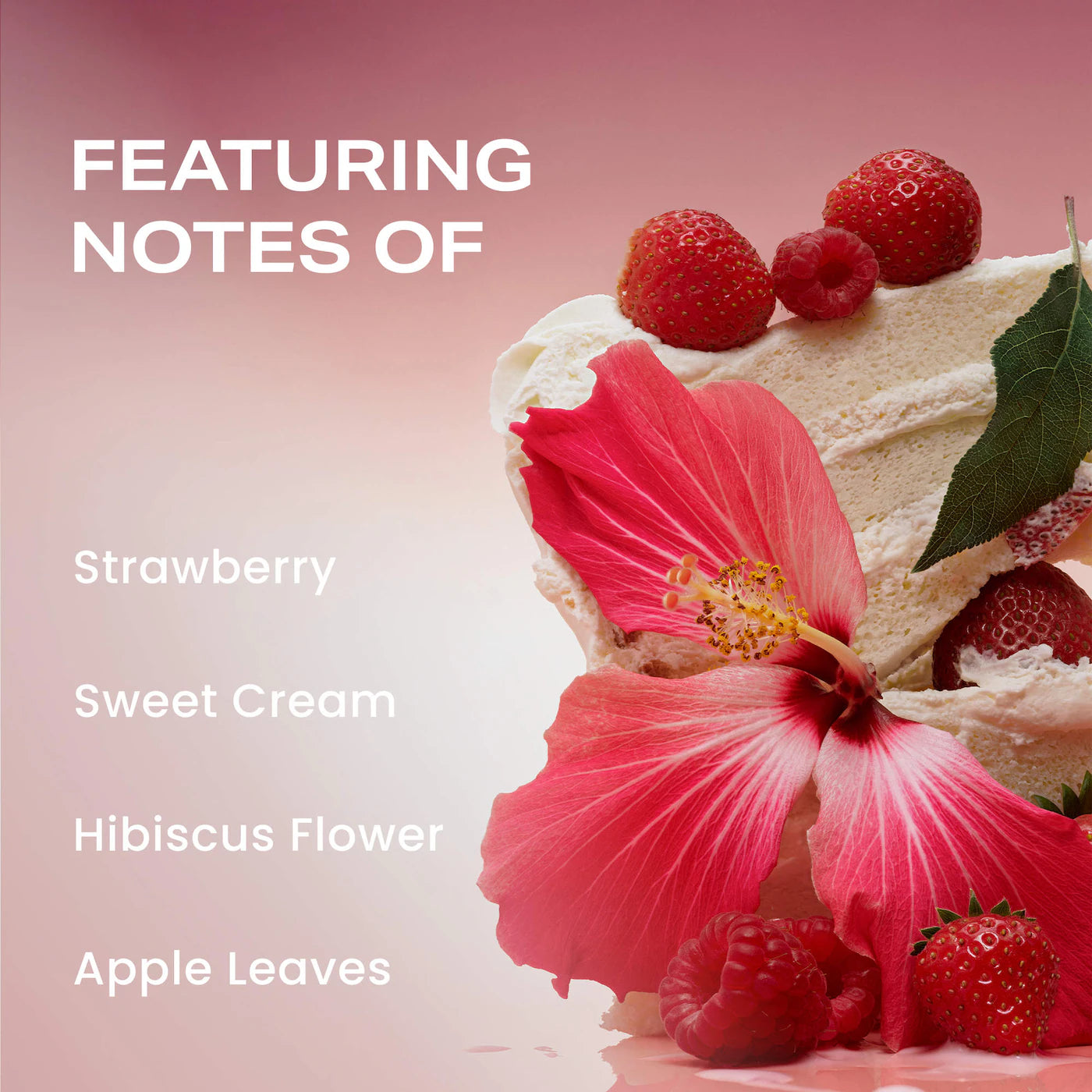 Berry Matcha Latte (Kit o Set)