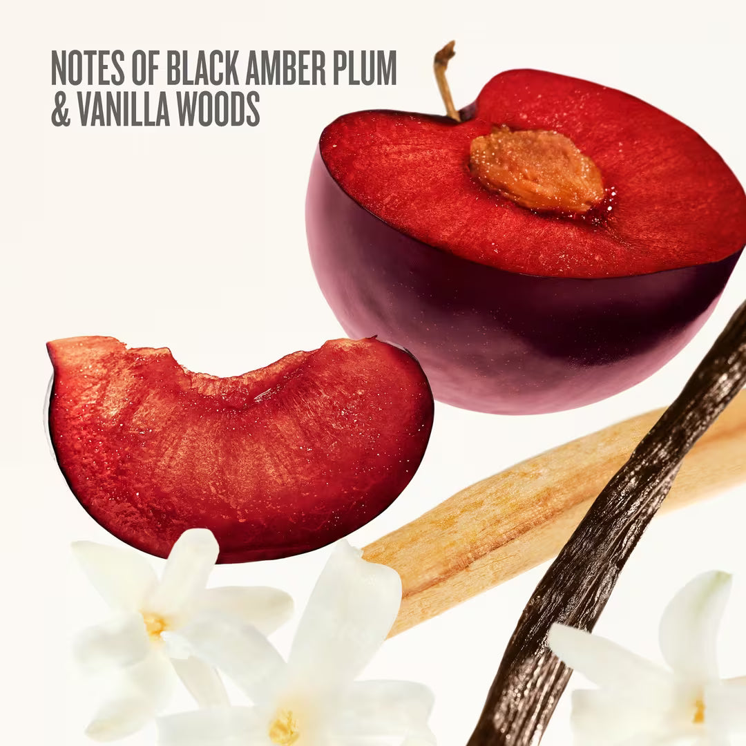 Bom Dia Bright Party of Two Duo Sampler (Kit o Set)