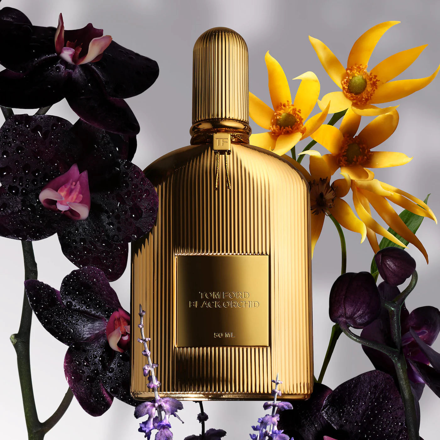 Black Orchid Parfum Fragrance (Perfume)