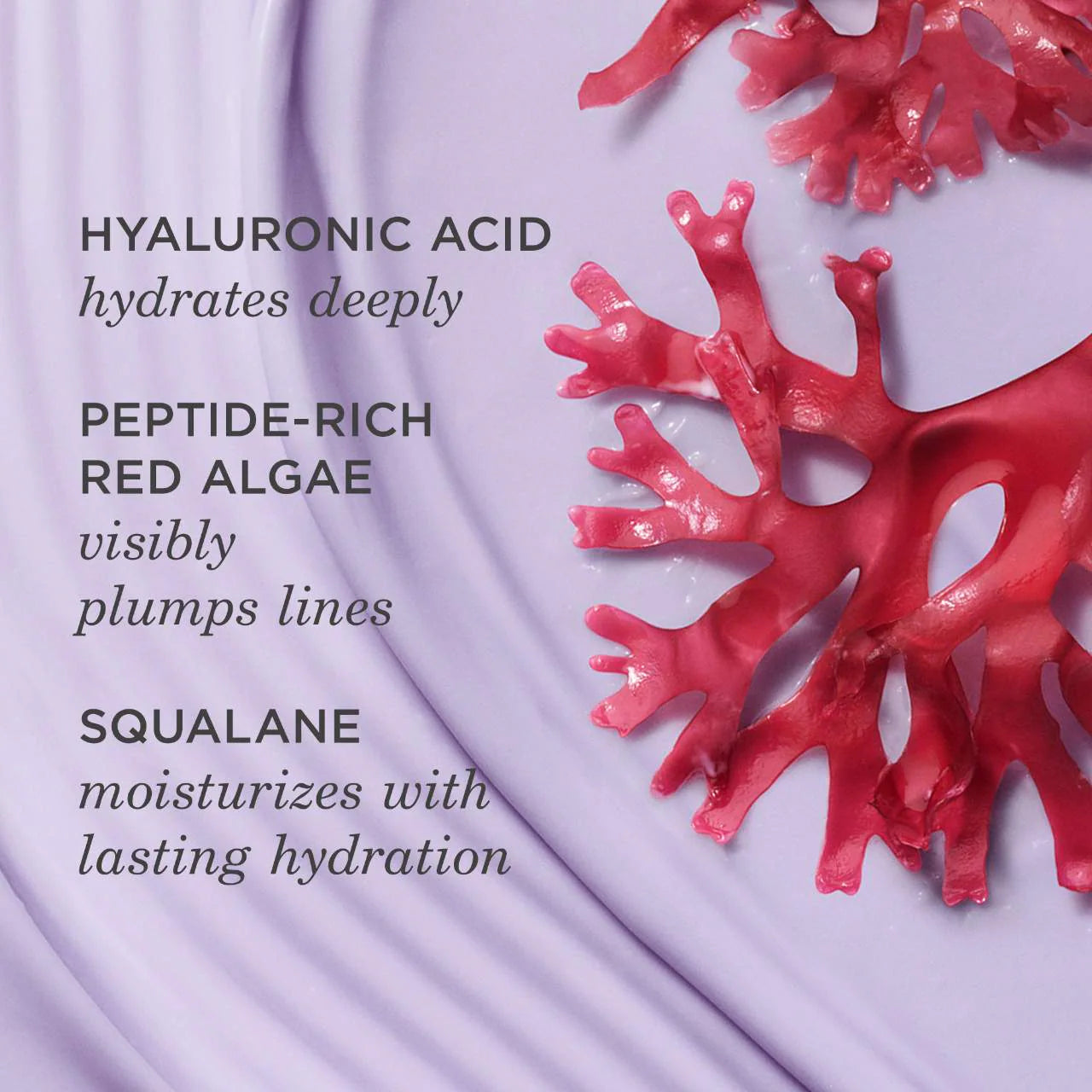 The Dewy Skin Cream Plumping & Hydrating Moisturizer (Crema Hidratante)