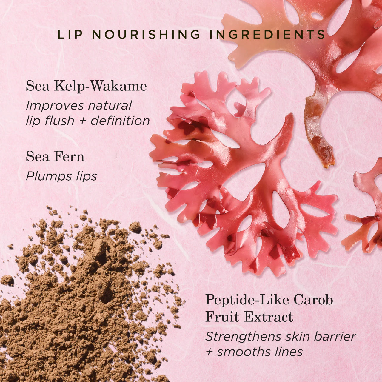 The Kissu Lip Treatment (Bálsamo Para Labios)