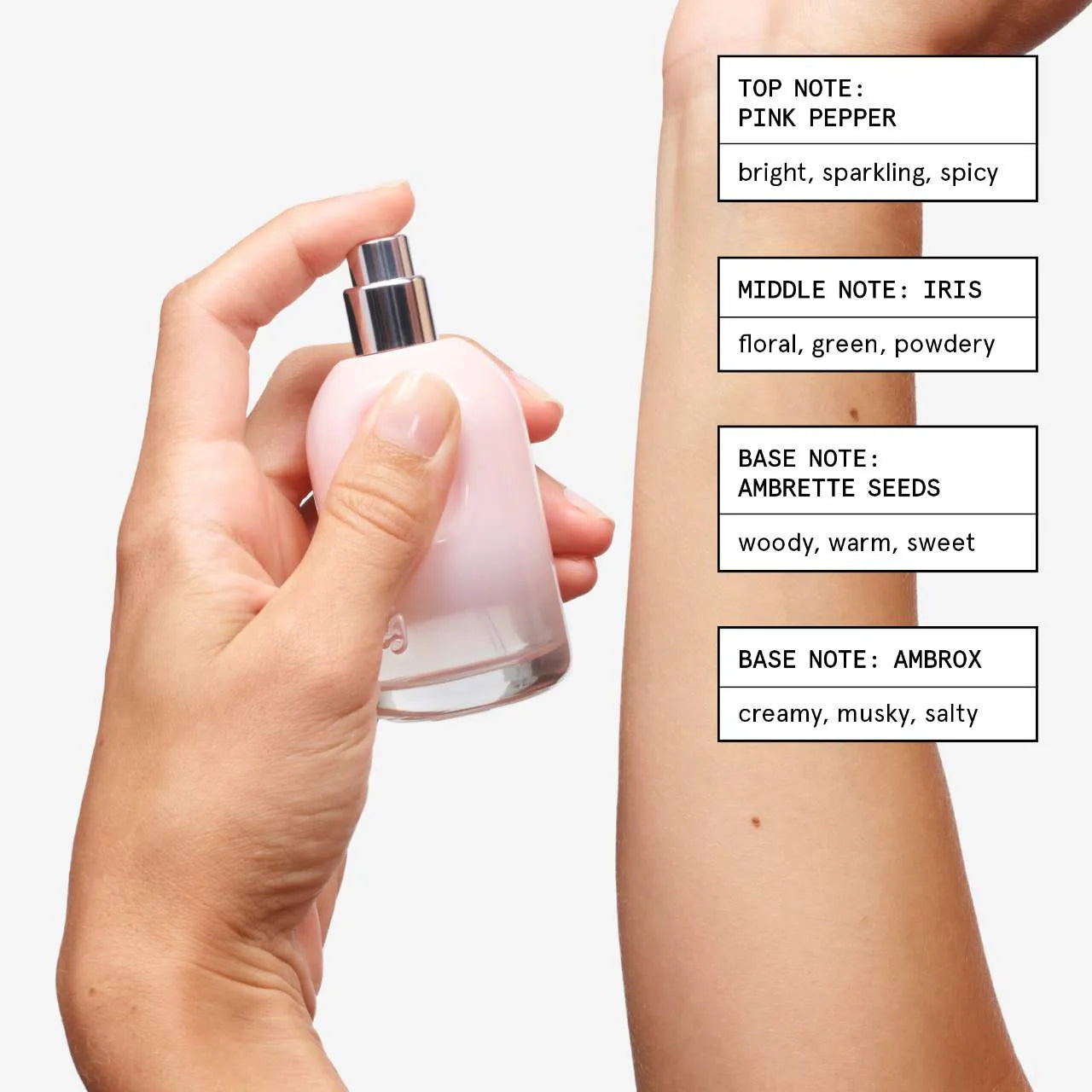 Glossier You Eau de Parfum (Kit o Set)