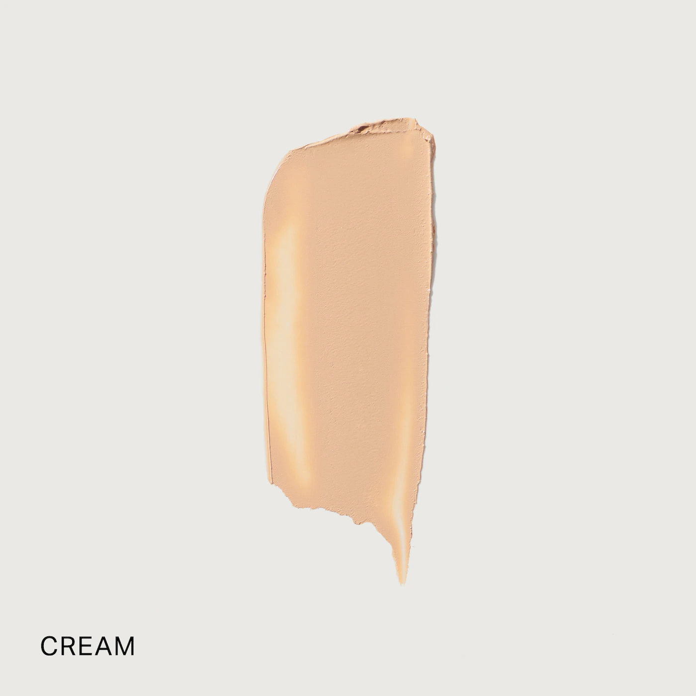 The Minimalist Perfecting Complexion Foundation and Concealer Stick (Corrector y Base En Barra)