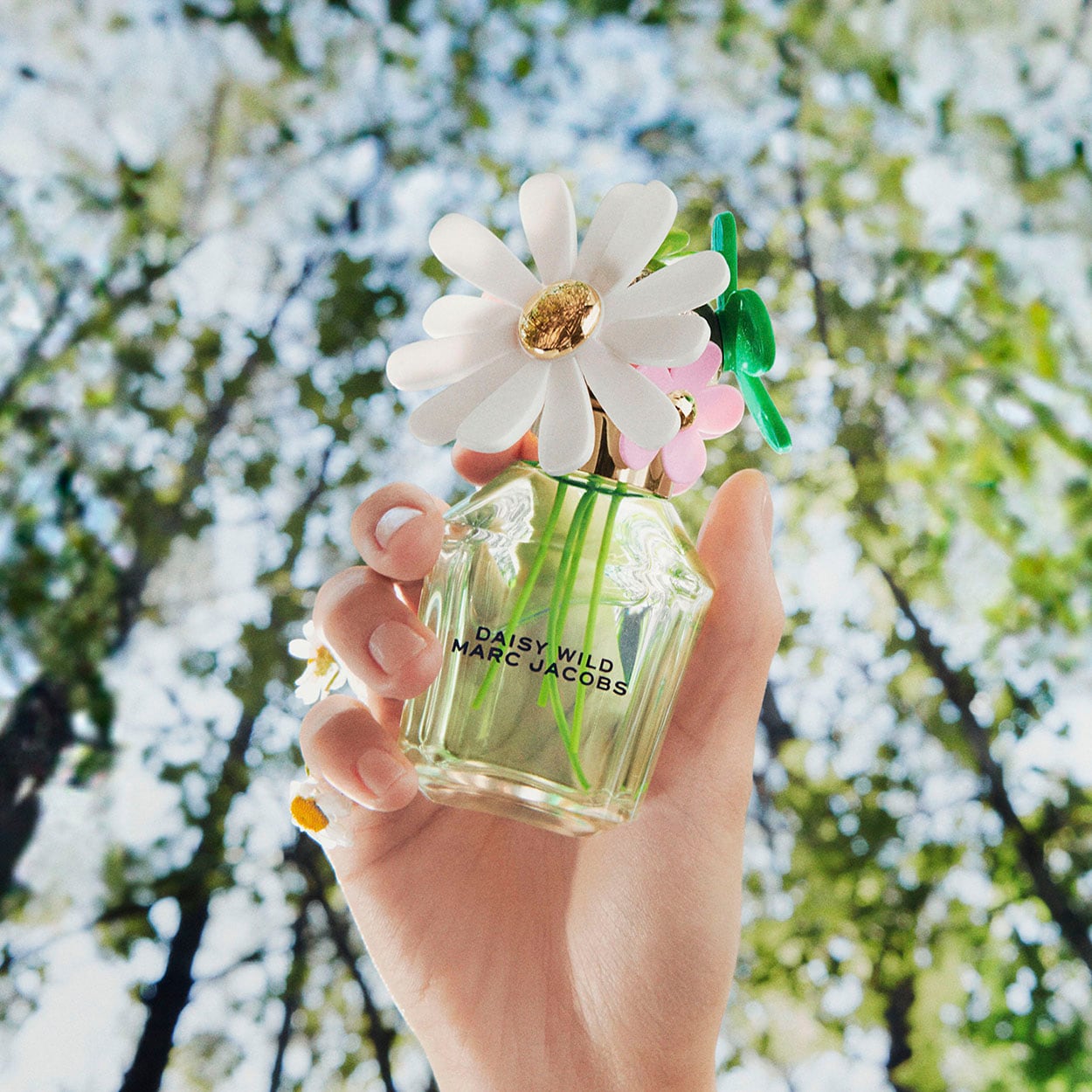 Daisy Wild Eau de Parfum (Perfume)