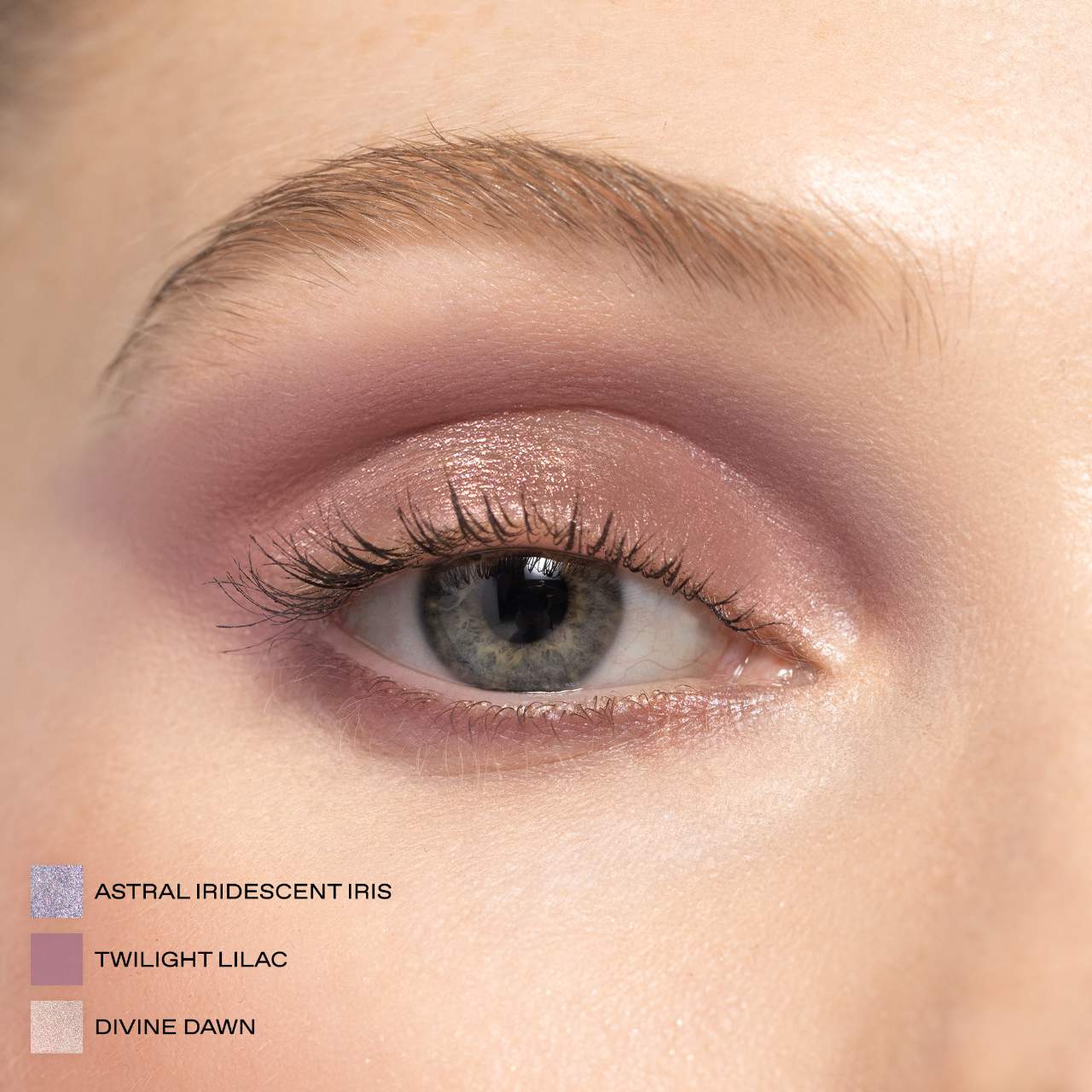 MOTHERSHIP XII Eyeshadow Palette (Paleta Sombras de Ojos)