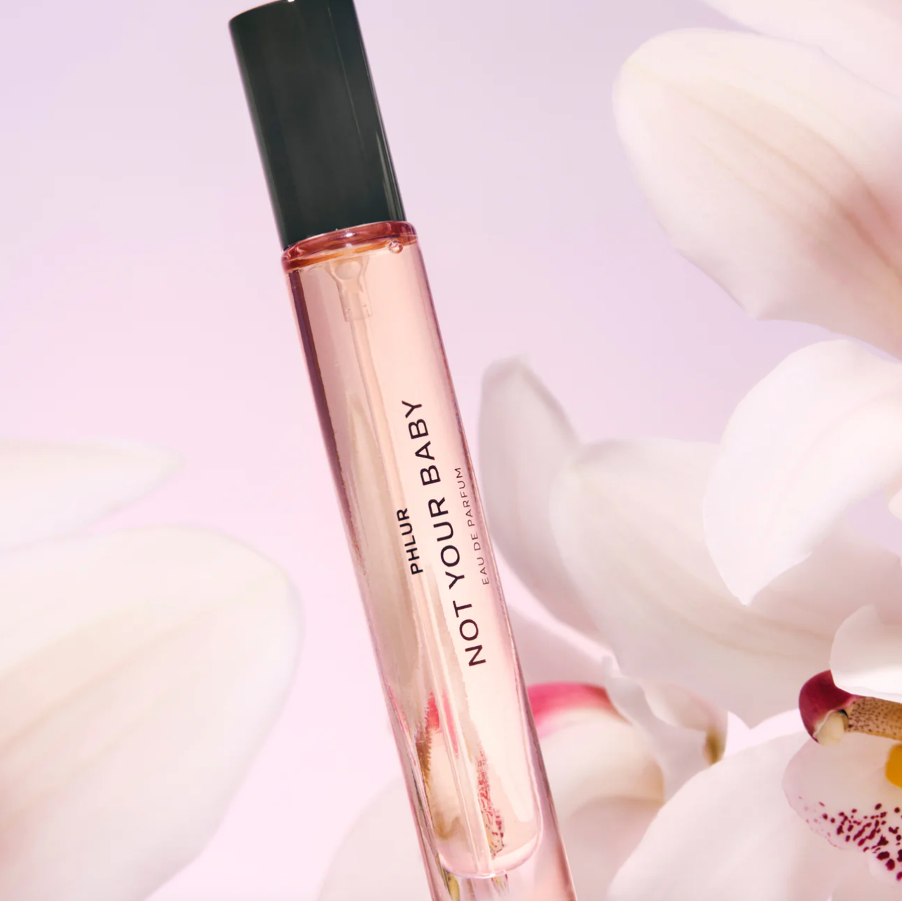 Not Your Baby Eau de Parfum (Perfume)