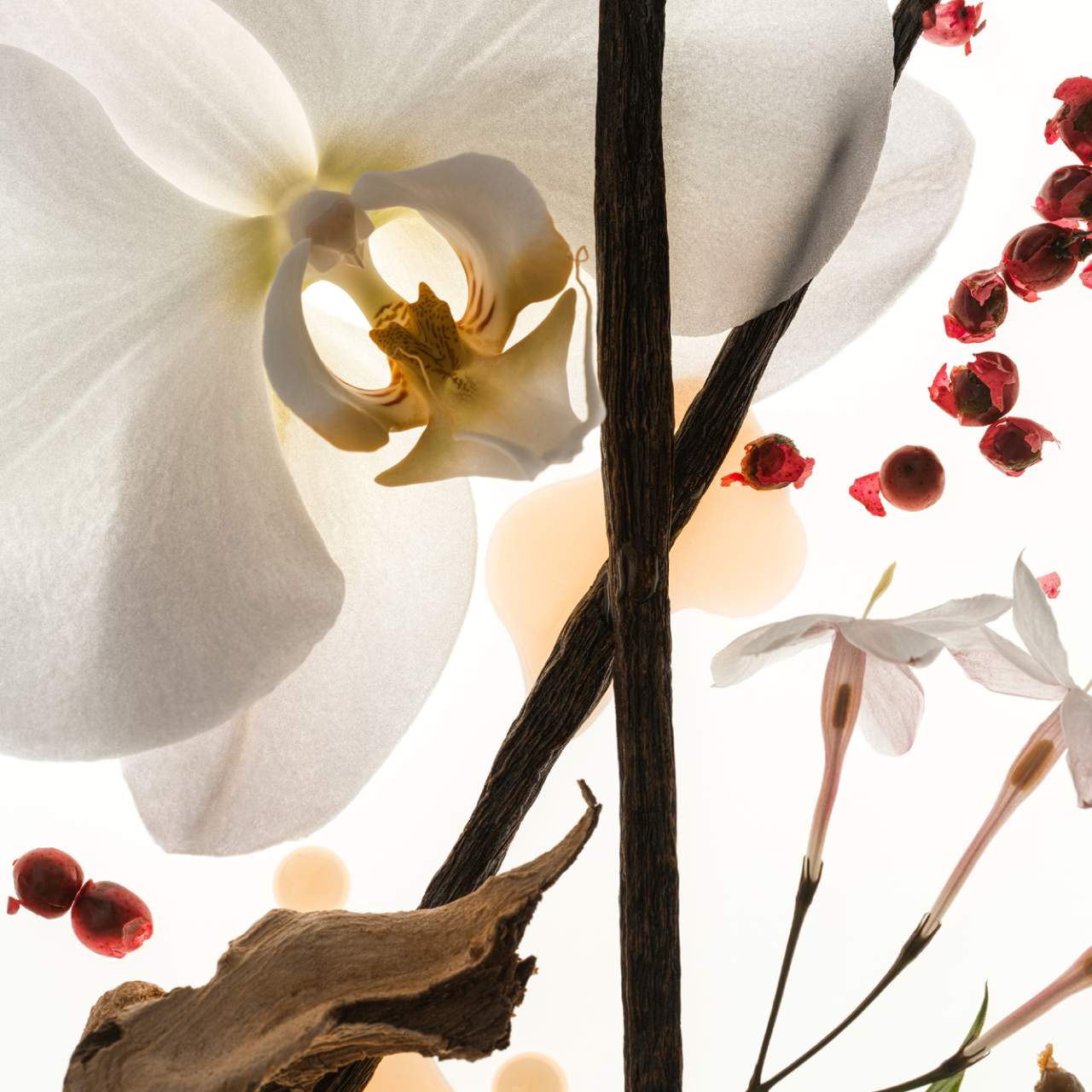 Vanilla Skin Eau de Parfum (Perfume)