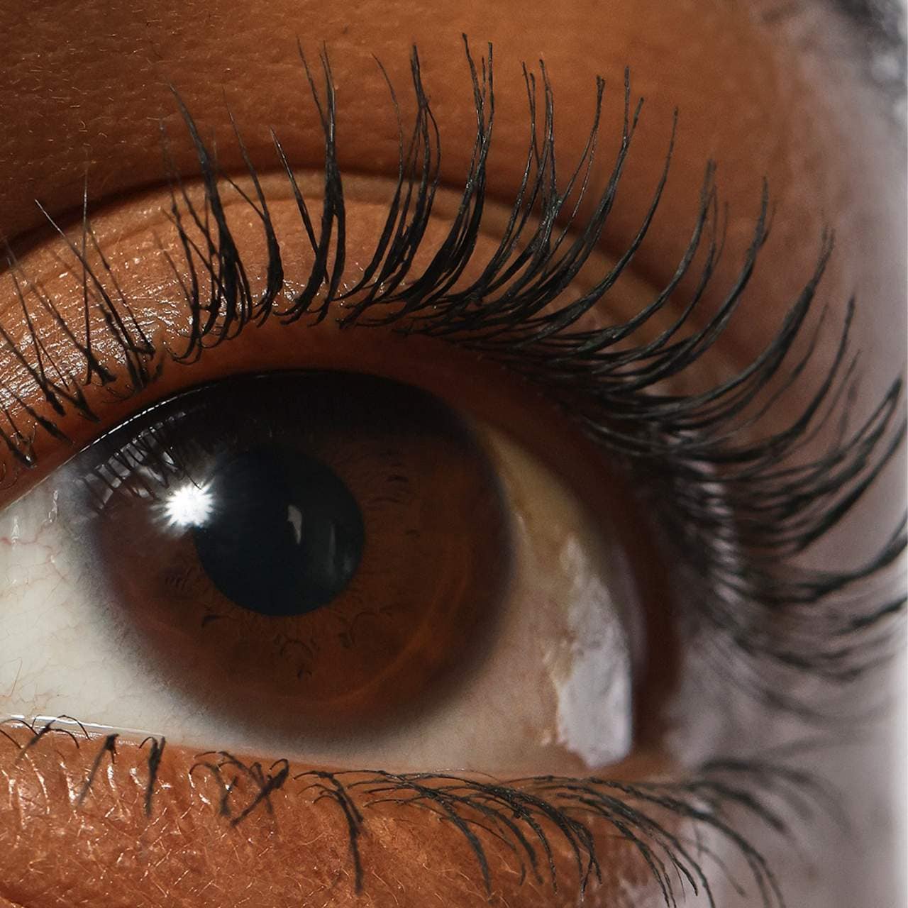 Lash Sculpt Lengthen and Lift Mascara (Rímel o Máscara)