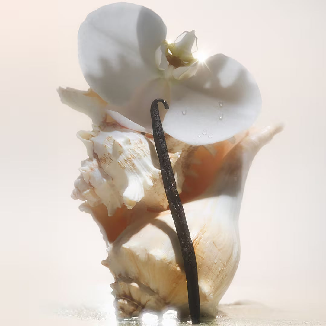 Salt Water Vanilla Shimmering Body Oil (Iluminador Corporal)