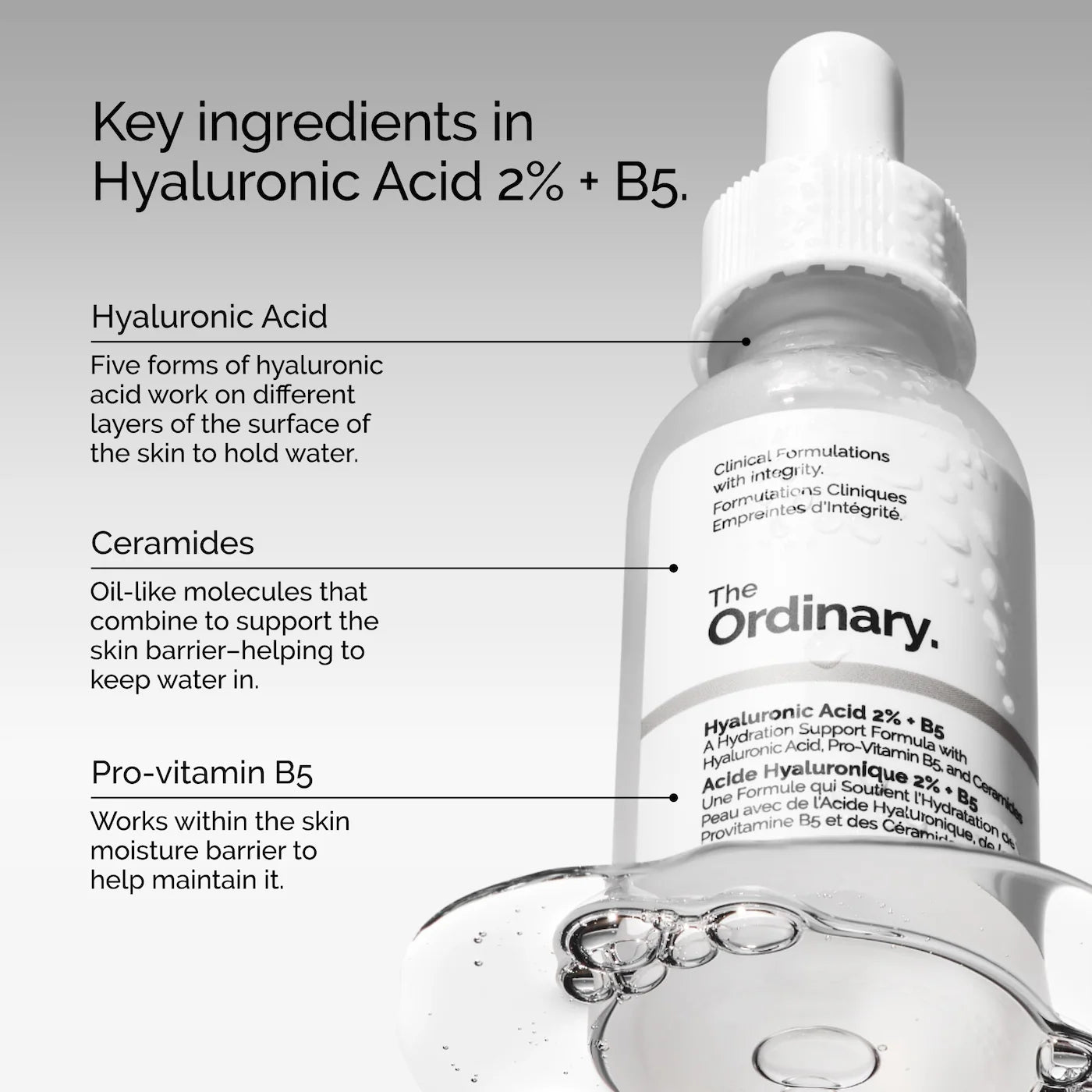 Hyaluronic Acid 2% + B5 Hydrating Serum