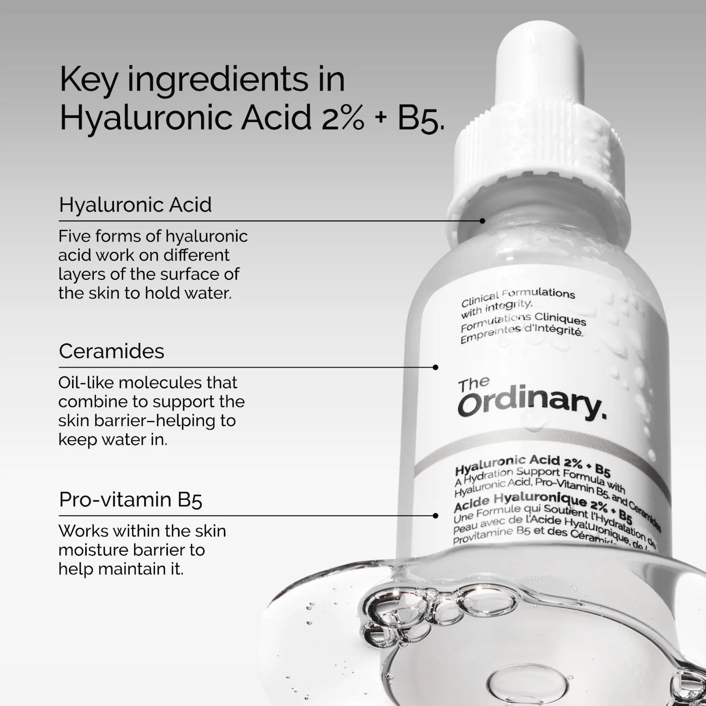 Hyaluronic Acid 2% + B5 Hydrating Serum (Suero Facial Ácido Hialurónico)